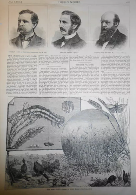 The Armée Worm - Dessiné Par Daniel Barbe - Harper's Hebdomadaire,Juillet 3,1880