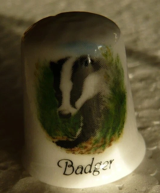 Birchcroft Porcelaine Chine à Collectionner Dé à Coudre Prince William Et George à Queens Anniversaire Juin 2015