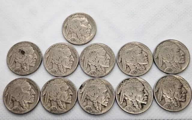 1937 Buffalo Nickels (Lot of 11)