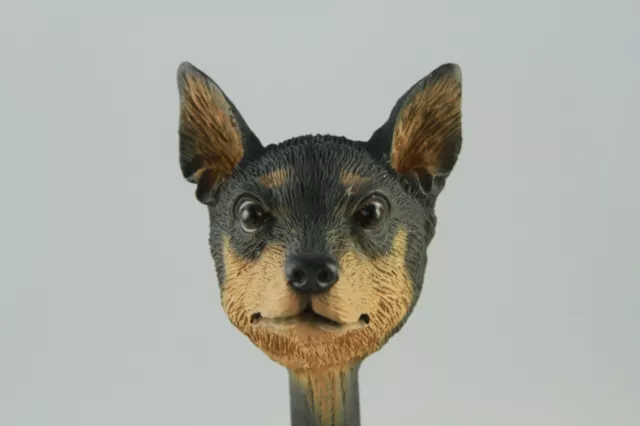 Min Pin Blk Tan Interchangeable  Head See All Breeds  Bodies @ Ebay Store)