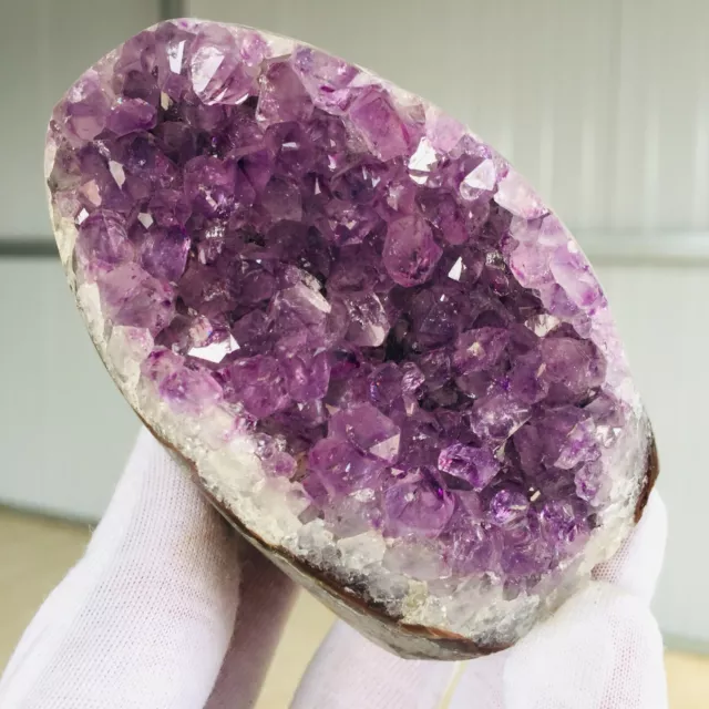 384G Natural Amethyst Cluster Quartz Crystal Geode Specimen G375