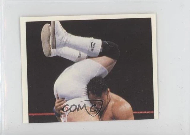1997 Panini WWF Superstars Album Stickers The Rock Rocky Maivia #114