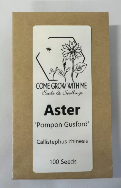 Aster 'Pompon Gusford' 100 seeds (Callistephus chinesis) Flower Garden
