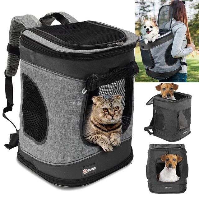 Transportbox Fr Katzen