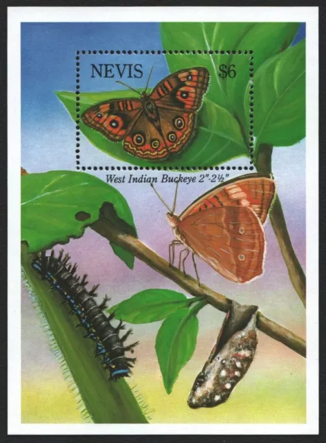 Nevis 1993 - Mi-Nr. Block 65 ** - MNH - Schmetterlinge / Butterflies