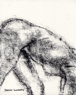drawing naked models