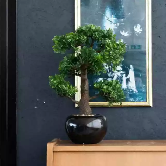 Mini bonsai artificial Ficus verde 47 cm 420006 Emerald vidaXL