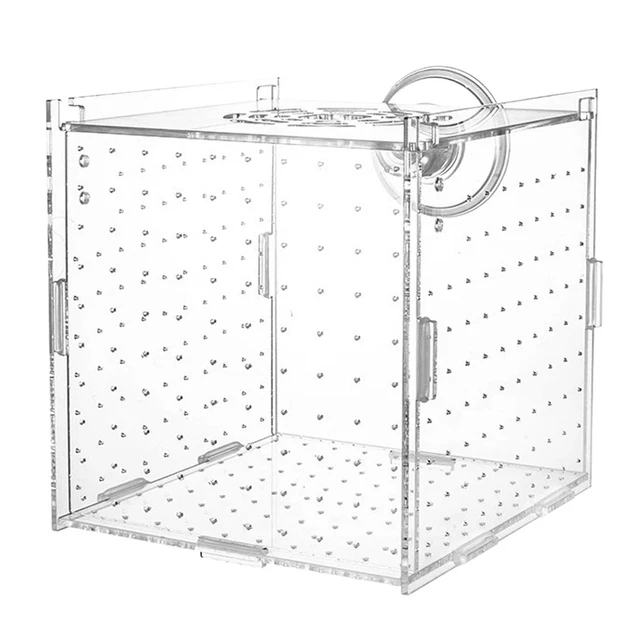 AQUARIUM FISH TANK Breeding Breeder Rearing Box Hatchery Isolation Case ...