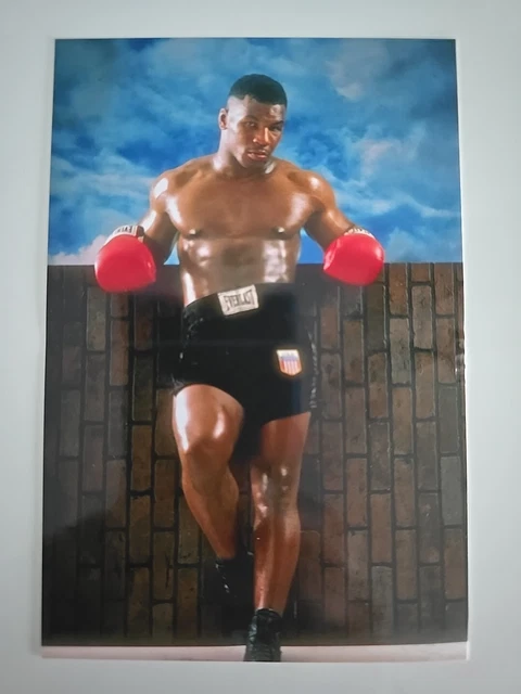 Gant De Sac De Boxe Signé Felix Sturm - Autographe Certifié, Neuf Avec COA