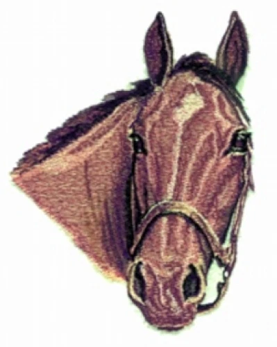 Embroidered Sweatshirt - Mare Horse BT2718 Sizes S - XXL