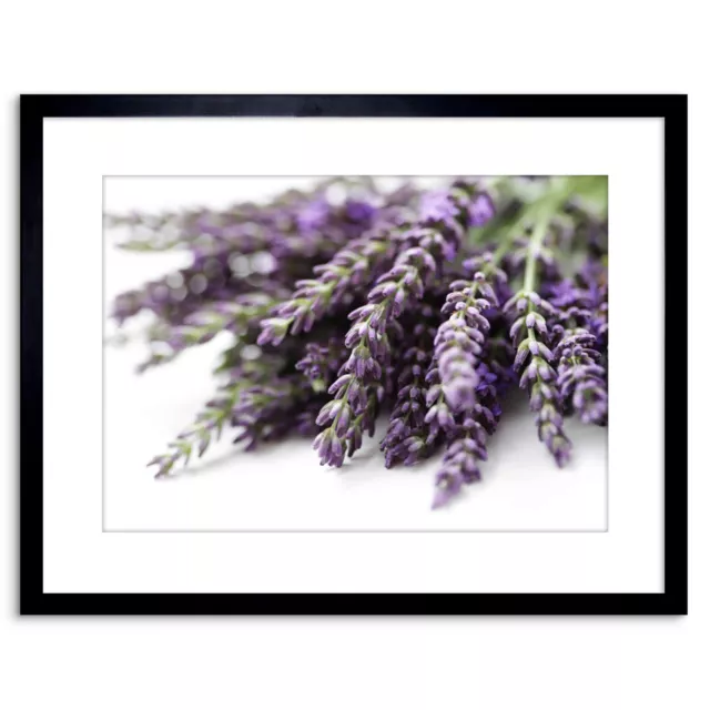 Photo Nature Plant Lavender Flowers Purple Framed Print 9x7 Inch