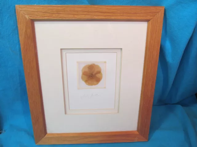 Framed & Artist Signed Mixed Media Dried Poppy Flower Under Silk