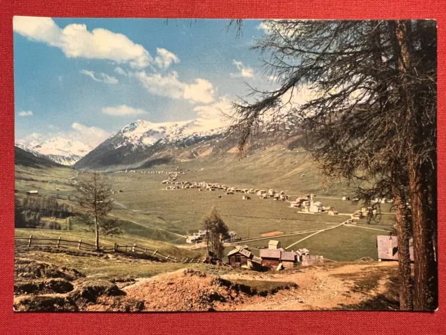 Cartolina - Livigno ( Sondrio ) - Panorama - 1961