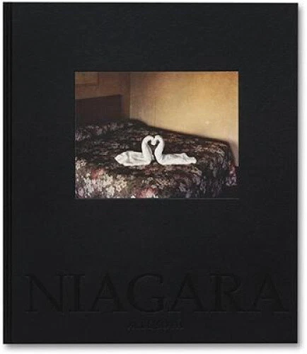 Niagara by Alec Soth