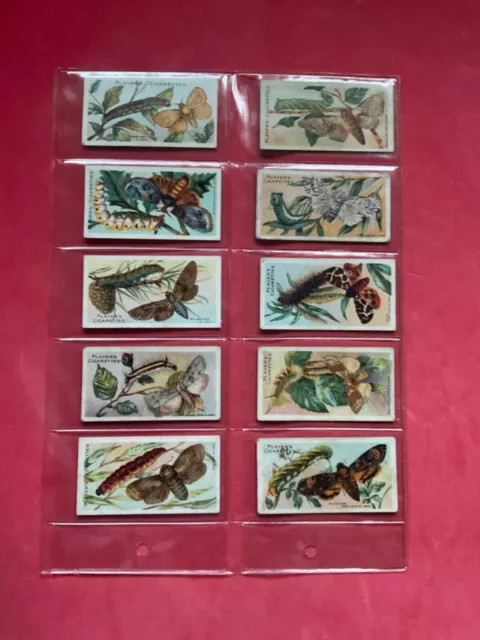 Butterflies & Moths 1904 Full Set 50 Players Cigarette Cards