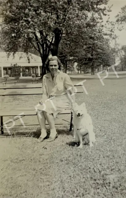 Antique Vintage Original Photo Pretty Girl & White Dog at Park Bench 1940s Pup