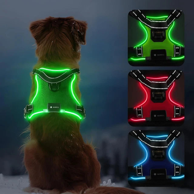Tubasion 2 Ciondoli Luminosi Per Cani, Collare Luminoso Per Cani, Ricaricabili, USB-C E Impermeabili, Per Corsa, Campeggio (RGB