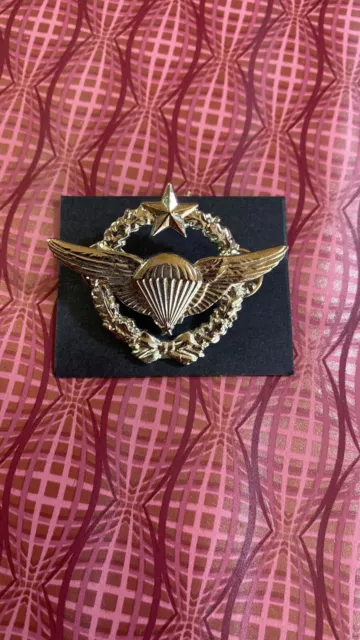 France Air Force Airborne Jump Wings Para Badge PIN