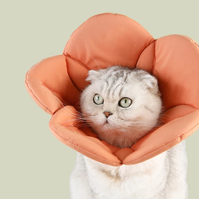 Cinta sujetadora de cuello electrónico para gato con forma de flor en forma de mascota gato cuello cono