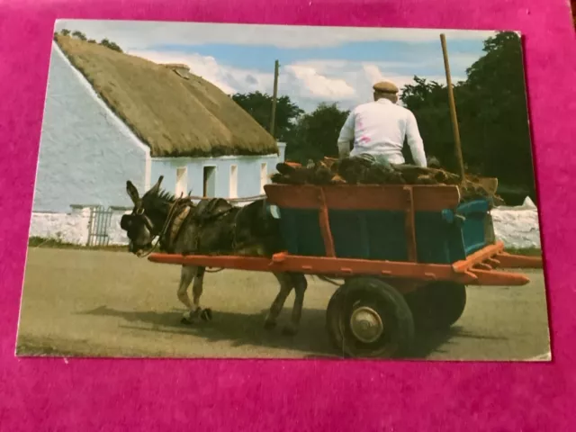 Bringing Home the Turf with Irish Donkey and Cart, Ireland Postcard