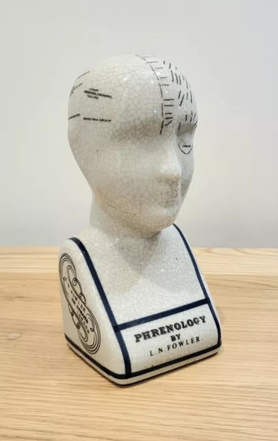 Phrenology Head 16 cm L.N. Fowler Ceramic Ornaments Figurine Busts Collectables