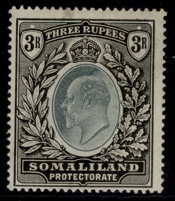 SOMALILAND PROTECTORATE EDVII SG43, 3r green & black, M MINT. Cat £70.