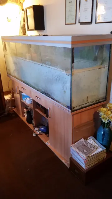 aquarium fish tank Used