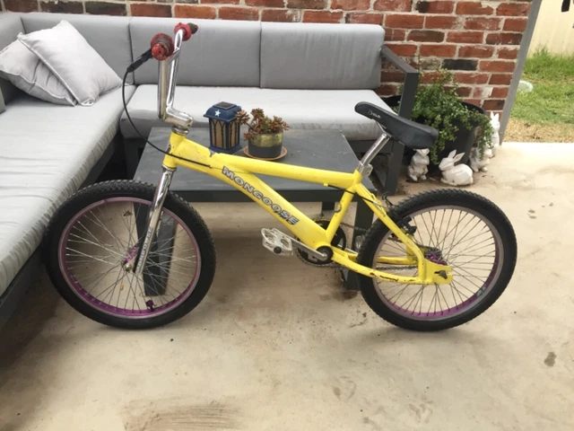 Mongoose expert sale for sale