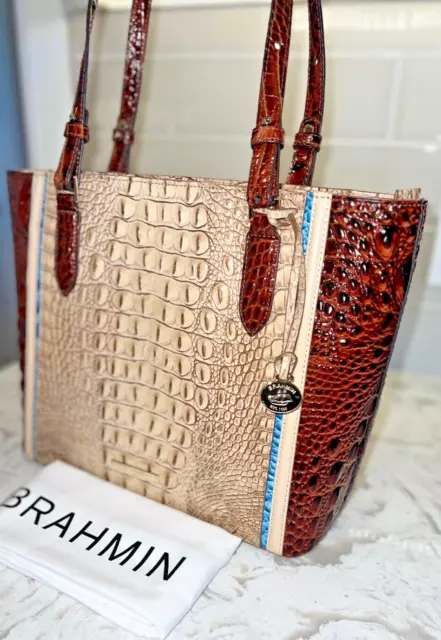 Brahmin medium 2025 misha