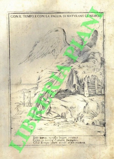 MITELLI Giuseppe Maria - Con il tempo e con la paglia si maturano le nespole. P