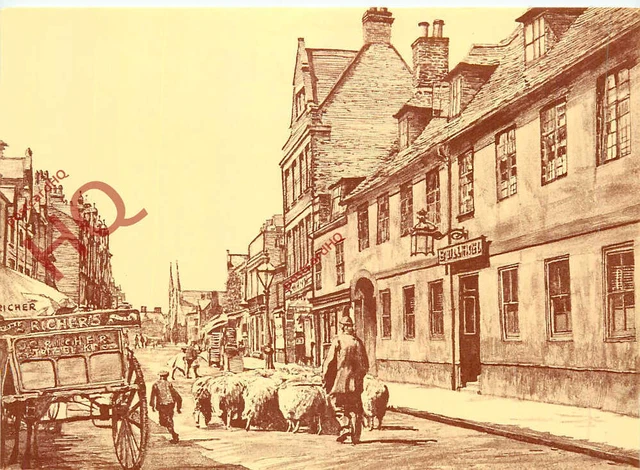 Picture Postcard- Peterborough, Westgate, the Bull Hotel, from a 1896 Photo