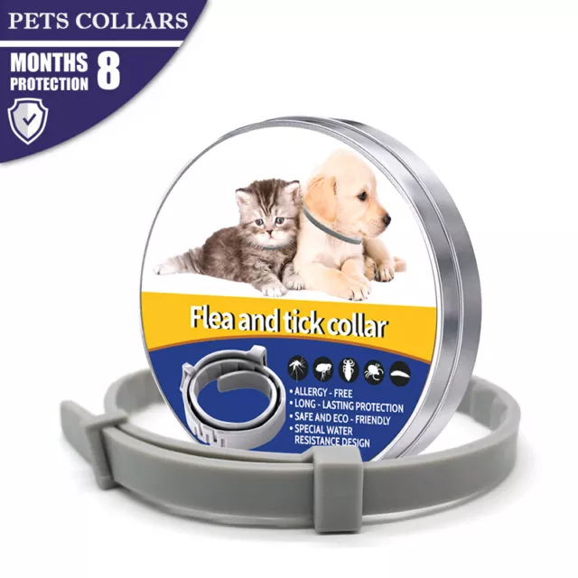 Collar Antiparasitario para Perros y Gatos Pequeños 🔴 Antipulgas Y Garrapatas