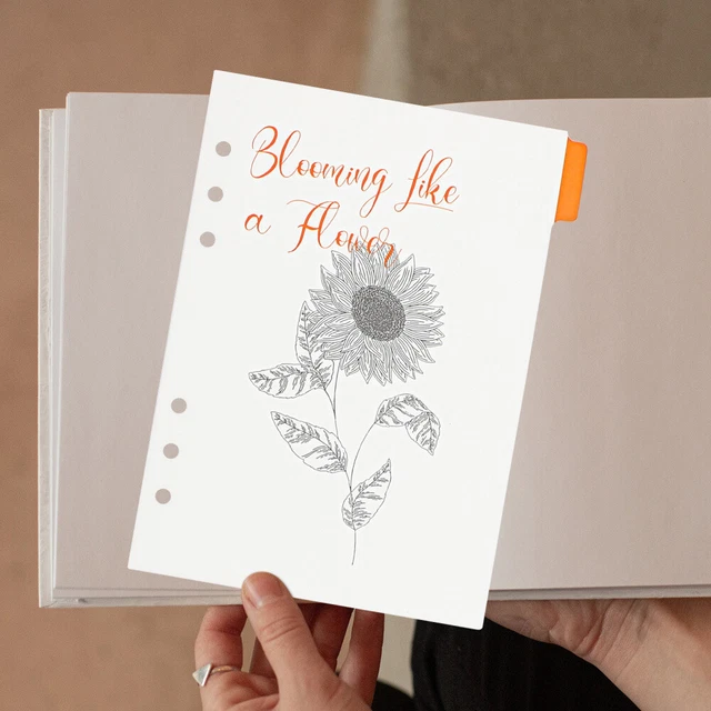 6 piezas Novedad carpeta creativa bloc de notas divisores de página para carpeta de decoración
