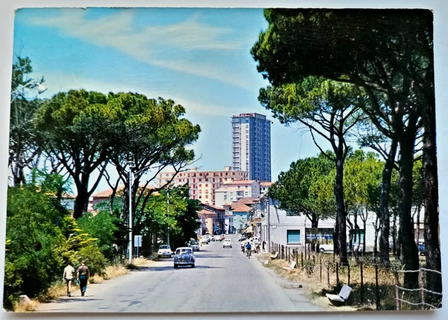 FOLLONICA (Grosseto) - 1966 - Pineta