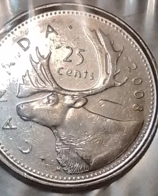 2008 Canadian Quarter           001243