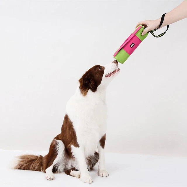 Deliciosas Bolsa De Entrenamiento Para Perros, Entrenamiento Bolsa Snack, Fácil De Poner
