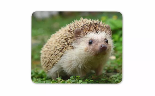 Hedgehog Mouse Mat Pad Cute Garden Animals Kids Mum Fun Gift Computer Gift #8205