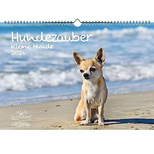 Calendrier De L'avent Puzzle 1000 Pièces - Chiens Et Chats - 70x50 Cm - Noël