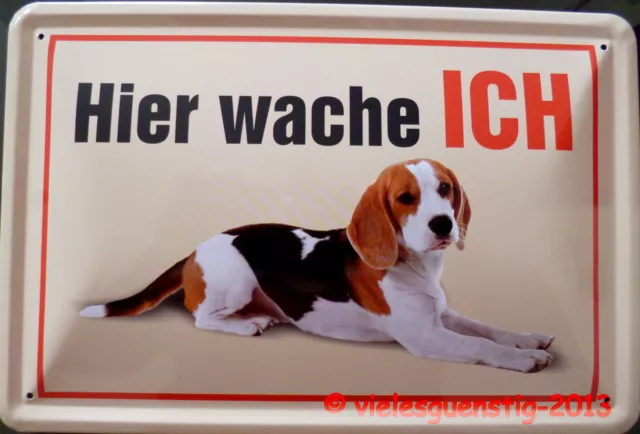 Blechschild 20x30 cm - Hier wache ich - Beagle Hund