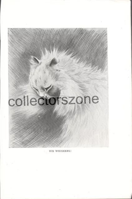 Louis Wain Book Print Cat His Whiskers 2 sided print taken from 1910 book 9x7 In