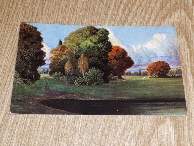 #C 365 alte Ansichtskarte Postkarte Rottenburg Neckar 13.9.09 1909 Baum