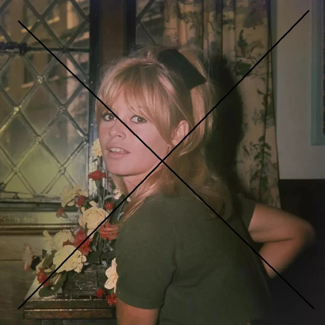 Photo De Brigitte Bardot (1966) - Tirage Neuf #SoutienUkraine
