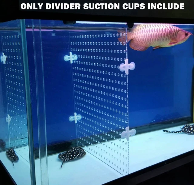 Aquarium Acrylic Divider Full Holes 4Pcs Suction Cup Betta Fish Guppies Tank