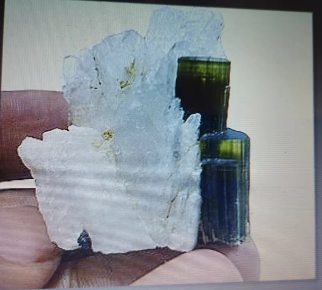 cristaux de tourmaline Verte 140 Carats