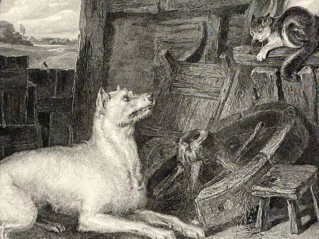 19th Century Engraving Dog Cat Mousetrap The Intruder Landseer Antique Art Print