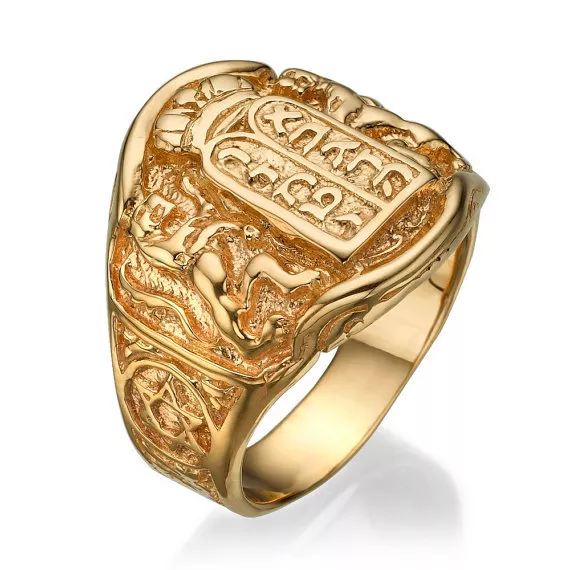 Bob Marley Style Ring Lion of Judah Men's Ring Solid 14k Gold and Onyx Lion  of Judah Ring Men's Signet Ring Black Onyx Signet Ring 