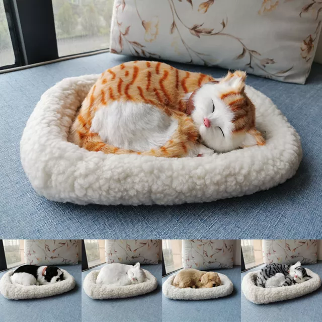 Lifelike deals breathing cat