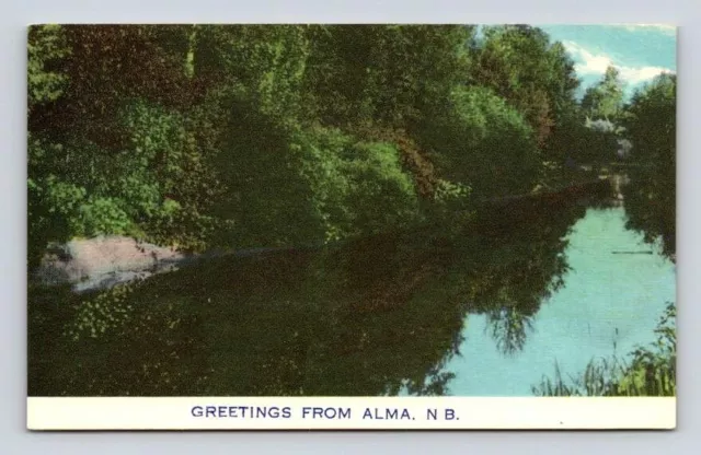 Alma New Brunswick Canada Greetings From Vintage Postcard