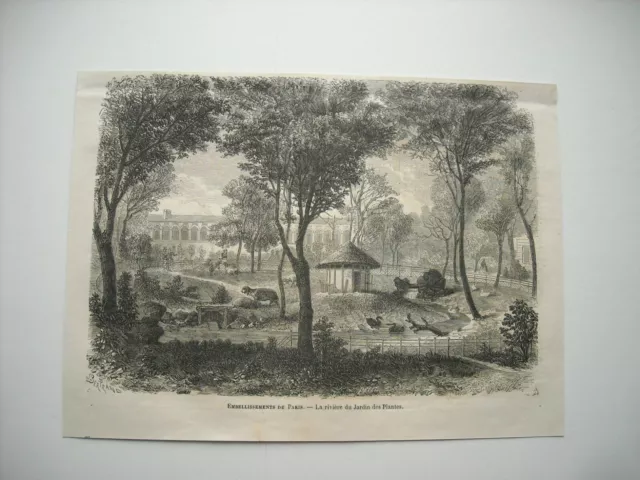 1864 Engraving. Embellishments Of Paris. The River Of The Garden Of Plants........