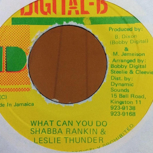 FINISH SCHOOL PROFESSOR Nuts Ruddy T Reggae 7